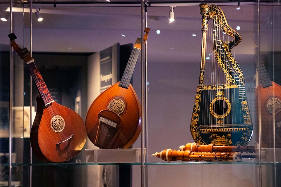A taus (stringed instrument) from India, made before 1884.